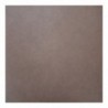 Carrelage Sol & Mur Living Indoor Brown 61,5X61,5 cm - Marron Mat 