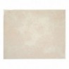 Faïence murale Baccarat 20X25 cm - Beige Brillant 