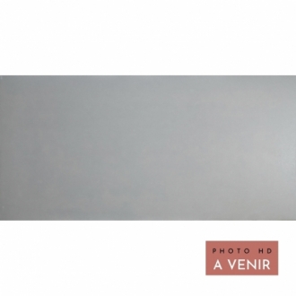 Carrelage Sol & Mur Flint Fog Nat 30X60 cm - Gris Mat 